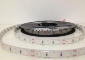 HX-7020-60led/m-IP65-White