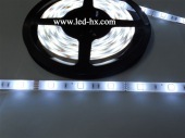 HX-5050-30led/m-IP65-White