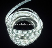 HX-5050-60led/m-IP65-White