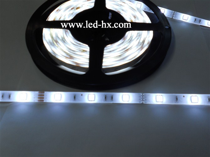 HX-5050-30led/m-IP65-White
