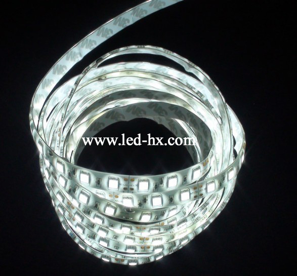 HX-5050-60led/m-IP65-White