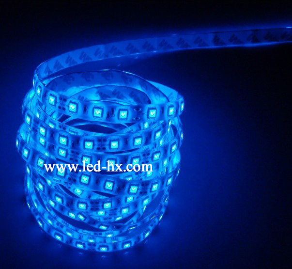 HX-5050-60led/m-IP65-Blue